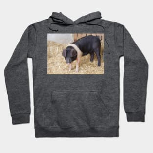 Piglet Hoodie